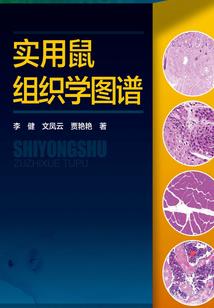 宝可梦手机游戏破解版