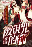 battleplans破解版