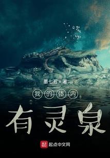 ps4播放器能放硬盘吗