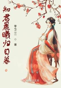 梦幻西游珍宝阁变身卡