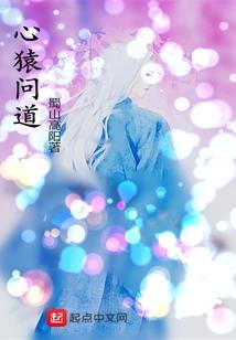 美国荒野越野