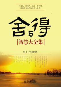 我的世界阿呆和