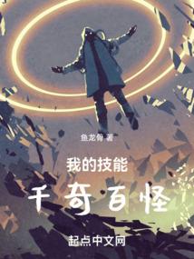 王国新大陆双人版破解版