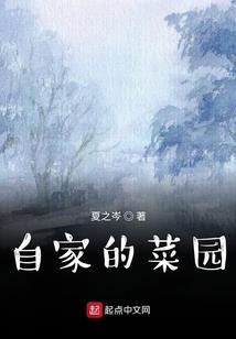 护石的属性