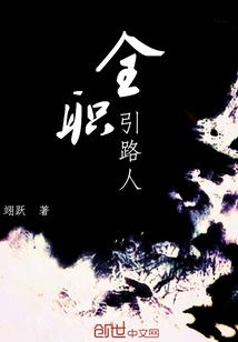 塞达尔传说荒野之息卡