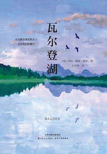 武器装备展