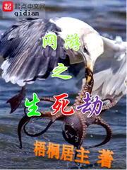我的世界遗忘的指令在哪