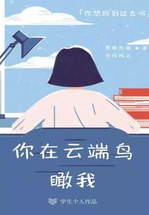 合金装备静静怀孕mod