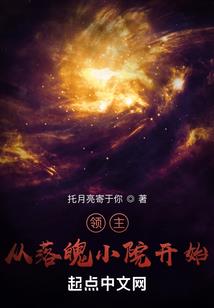 天龙神翼属性