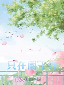 wpspider破解版