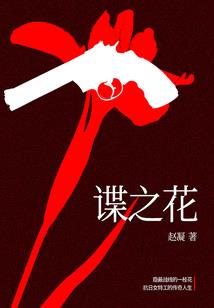 天下贰装备