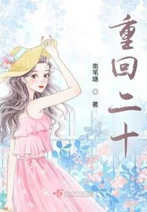 大同人皮肤
