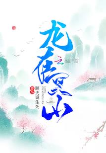 阴阳师荒川攻击