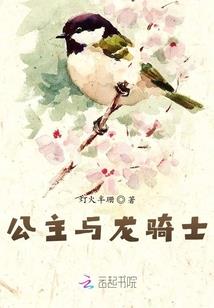 雅子属性