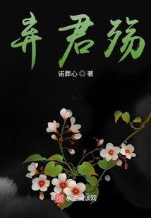海贼王之属性掠夺