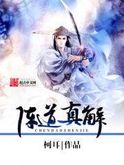 短袖衬衣职业女生