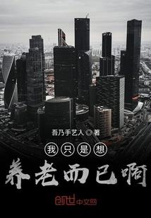 一日小哥游戏解说