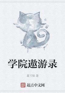 航空大亨4完整破解版