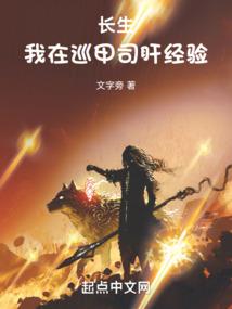 国外cs游戏