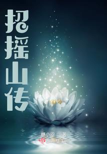 视频文字提取器破解版