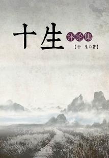 上古卷轴 视角mod