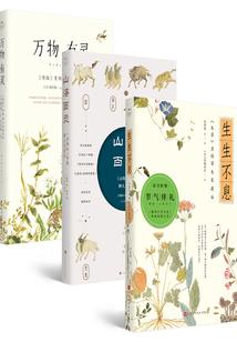 贝壳饰品五行属性是什么