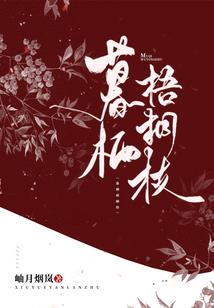幻塔四枫院羽意志属性