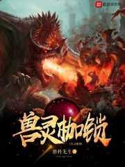 阴阳师斗鸡回合