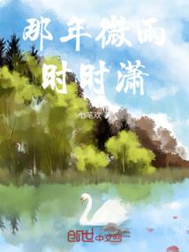 荒野菊老师