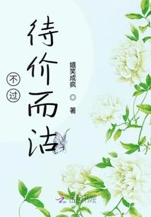 王者燕小乙