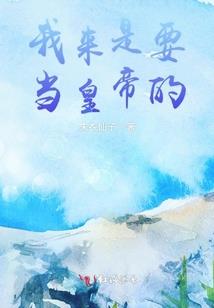 职业拳击的重量级