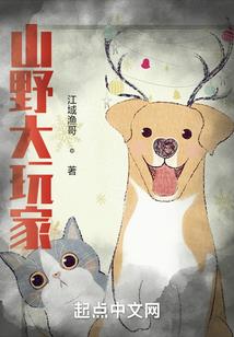 打mod闪退