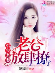 火炬之光2 装备表