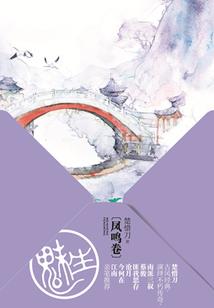 银河足球队皮肤