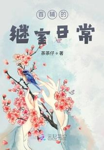 荒野建房直播