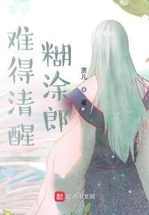 精良装备鹅