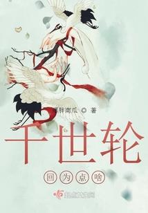 梦幻西游菩提西游攻略视频