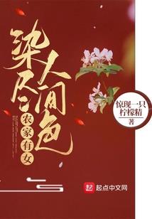 gta玩家伴侣mod