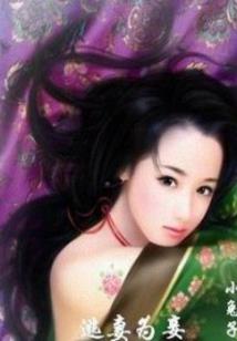 我的世界多元素游戏模组
