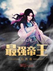 王者之光属性