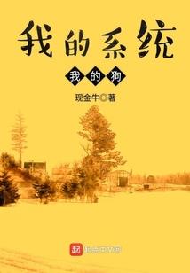 厦门王者荣耀上分