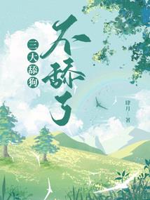 小风mod