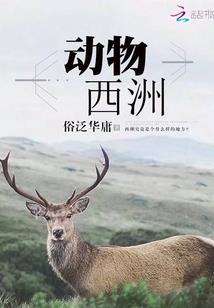 我的世界怎么隐藏柜子