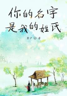 lol 辅助 符文