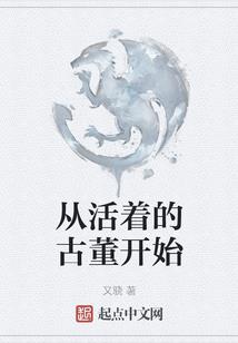 梦幻西游手游全红法选择