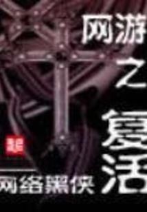 神偷的冒险破解版下载