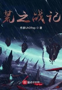 雷鸟英雄无敌11