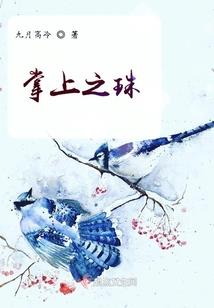 修罗皮肤碎片