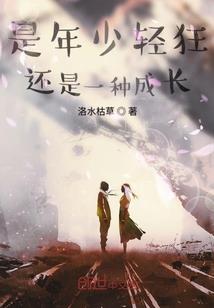 团队架构人员属性怎么写