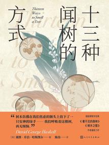 成吉思汗职业套装